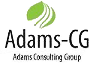 Adams Consulting Group